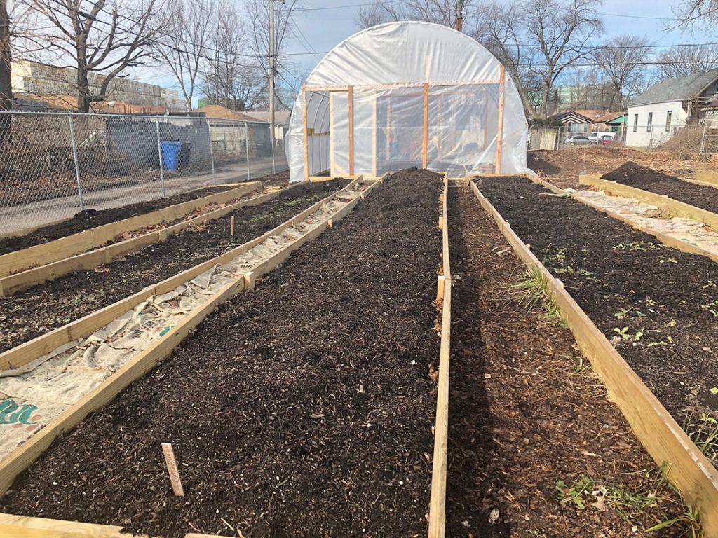 Star Farm Chicago makes urban agriculture accessible, inclusive and